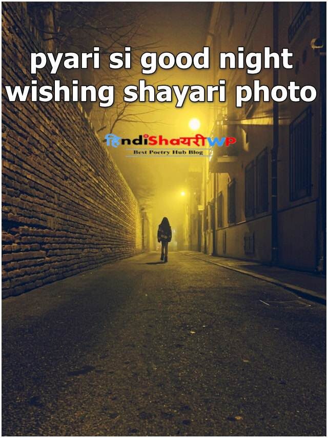 pyari si good night wishing shayari photo